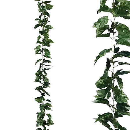images/uploads/18568/thumb_3508-2 2023.webp